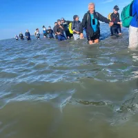 Wadlopen2026